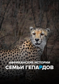 Африканские истории семьи гепардов (2020)