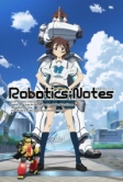 Записки о робототехнике (2012)