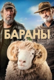 Бараны (2020)