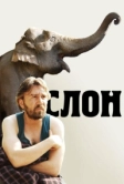 Слон (2010)